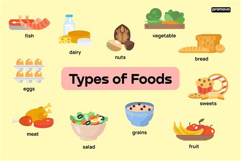 What are the 3 main types of food?